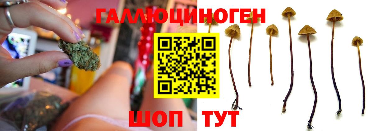 Псилоцибиновые грибы мицелий  Вход с VPN  где купить   Дюртюли 